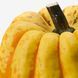 Декоративні гарбузи, різні CUCURBITA / 106.293.35