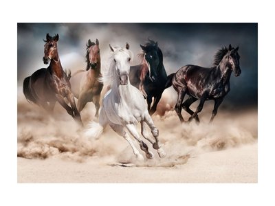 Картина HORSES / Загартоване скло;120х80;
