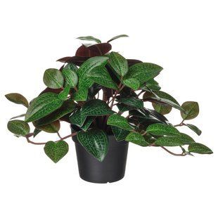 Искусственное комнатное/уличное растение Ludisia в горшке, 9 см. FEJKA / 406.008.68